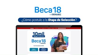 Beca 182024 tutorial de postulación para la SELECCIÓN [upl. by Attenol]