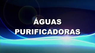 Águas Purificadoras  Com letra Lyric Video [upl. by Laurie]