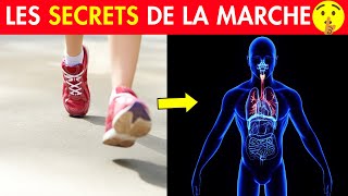 Les Bienfaits de la Marche à Pied sur le Corps 👉🏻 Que Vous Ignorez [upl. by Athelstan]