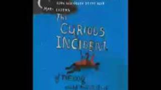 The Curious Incident of the Dog in the Night Audibook Part 15 Mark Haddon [upl. by Lanaj]