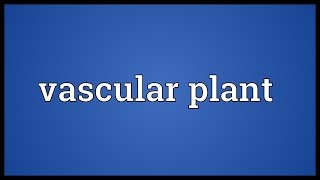 Vascular plant Meaning [upl. by Roumell]