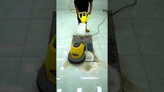 Testing Famous Carpet Cleaning Tips – Do They Really Workquot [upl. by Reffineg]