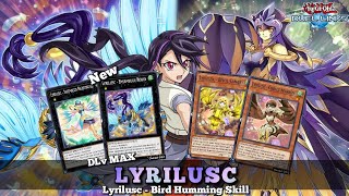 New Lyrilusc Deck with Lyrilusc  Bird Humming Skill KC Cup Duel DLv MAX YuGiOh Duel Links [upl. by Annais]