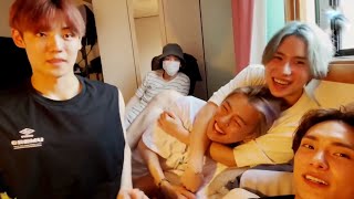 Cuddled up after Siren’s Call concert 🧜🏻 • ACE vlive 20210710 eng sub 에이스 [upl. by Yerhpmuh]