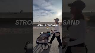 Strolls by the sand just got better in Petique’s Trailblazer Pet Jogger👏 dogs beachlife pets [upl. by Esinahs618]