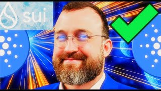 Charles Hoskinson likes SUI SOL Network Congestion Tether is ‘best friend’ of US BTC miners good [upl. by Enomrej844]