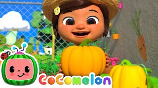 Lets Make Harvest Stew  Ninas ABCs  CoComelon Songs for Kids amp Nursery Rhymes [upl. by Amada]