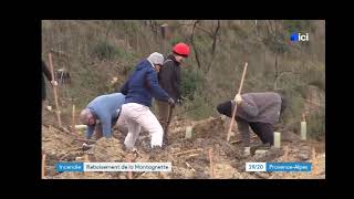 Reportage France 3  Des milliers darbres pour la Montagnette [upl. by Shu128]