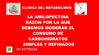 5 la amilopectina moderar el consumo de crarbohidratos simples y refinados [upl. by Lleryt982]