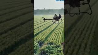 DJI Agras T60 Flight farming drone dji agriculture t60 djiagras [upl. by Pinebrook]