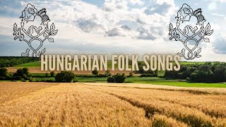 Hungarian folk music  relaxing compilation with Hungarian landscapes 4K [upl. by Guilbert]