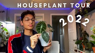 Houseplant Tour 2022  100 Plant Collection [upl. by Dleifxam32]