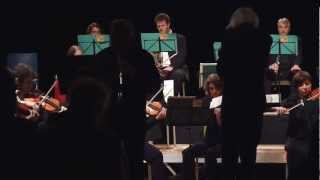 Joseph HAYDN Concerto pour hautbois 2è mvt [upl. by Jenei]