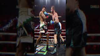 Canelo Álvarez The Unstoppable Force Dominating Boxings Biggest Stages [upl. by Valene]