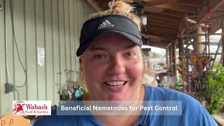 Wabash Feed and GardenBeneficial Nematodes for Pest Control [upl. by Blackwell480]