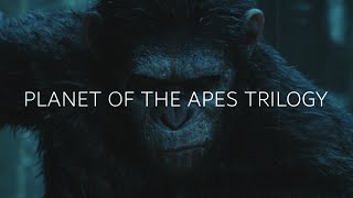 The Planet of The Apes Trilogy [upl. by Alenas]