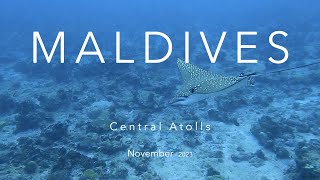 Diving the Maldives Central Atolls 4K [upl. by Arevle]