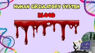 Human circulatory system Composition of Blood life process Science Class 10th CBSE biology [upl. by Bust]