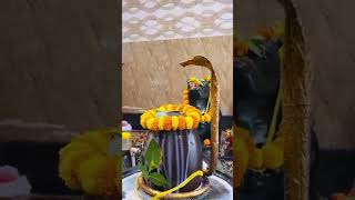 Har har mahadev shiv viral shorts shortfeed videos monday love mahakaal [upl. by Sisto]