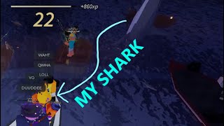 Roblox Fisch  THE GREAT HAMMERHEAD SHARK [upl. by Niwdla]