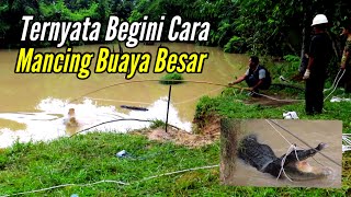 BEGINI CARA MANCING BUAYA BESAR ❗️How to Catch Big Crocodile [upl. by Winfield]