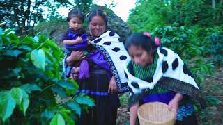 Mi Cultura Video Oficial  Grupo Soberano De Tierra Mixteca [upl. by Ailongam958]