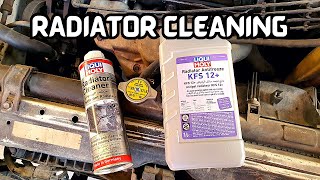 DIY Car Radiator Flush and Cleaning  Guide to Clean Your Radiator at Home [upl. by Asabi]