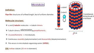 General Histology Lecture 2  Nonmembranous organelles  inclusion and matrix [upl. by Rosinski]