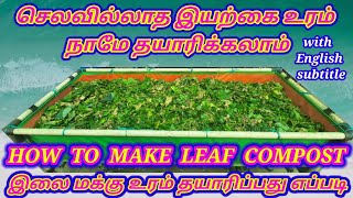 zero budget homemade organic fertilizer  how to make leaf compost at your garden இலை மக்கு உரம் [upl. by Kremer]