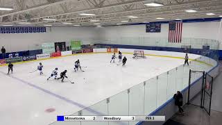 Minnetonka 12U B1 vs Woodbury  November 22 2024 [upl. by Raskind]