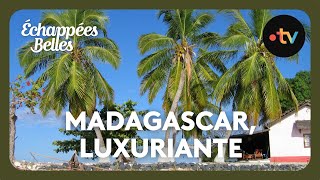 Madagascar luxuriante et généreuse  Échappées belles [upl. by Drislane]