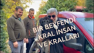 GÜNAYDIN Çiftliği İsmet beye KANGALTÜRK Krallarımızı teslim ettik kangal [upl. by Enahpad859]