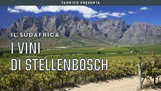 I vini di Stellenbosch un successo sudafricano  Tannico Flying School [upl. by Perlman]