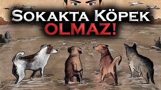 Sokakta Köpek Olmaz [upl. by Swigart]