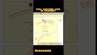 mechanism of hormone action biologysimplified bioshorts neetshortvideos conceptbox [upl. by Drescher]