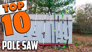 Best Pole Saw In 2024  Top 10 Pole Saws Review [upl. by Nirrat807]