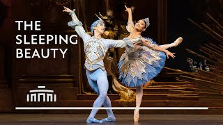 Ballet fragment Princess Florine and Blue Bird The Sleeping Beauty  Dutch National Ballet [upl. by Salina977]