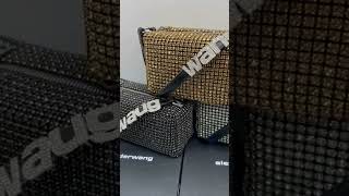 Is this ALEXANDER WANG bag [upl. by Adekram]