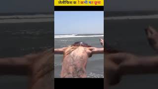 Jellyfish ko mat chhunashorts jellyfish facts amazing latest [upl. by Vada]