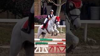 Almost 1 year together 🤩🐴❤️ gilaryeq horse showjumping horselover fyp equestrian [upl. by Cariotta]