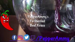 Beet Kvass  PepperAmmys Fermentation Friday [upl. by Adelheid161]