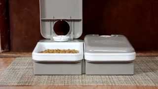 PetSafe® Eatwell Two Meal Feeder [upl. by Ateuqirne]