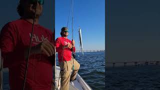 Ribbon fish caught in Bay St Louis Ms [upl. by Byrdie]