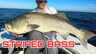 Striped Bass Secrets Catching Giants with the SWYM Pro Tips Inside [upl. by Nnylekoorb295]