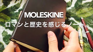 MOLESKINEを初めて買う人は見てください！【良い所・悪い所】 [upl. by Notnelc]