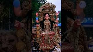 The Jagadhatri Puja immersion procession🎇💥chandannagar jagadhatripuja2024 youtubeshorts shorts [upl. by Deery270]