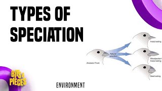 Types of speciation  Allopatric sympatric Parapatric Peripatric in Tamil II UPSC II TNPSC II [upl. by Orvah]