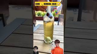 CORK 🍾 REMOVAL HACK 🤯😱 cocktail challenge [upl. by Aggappe]