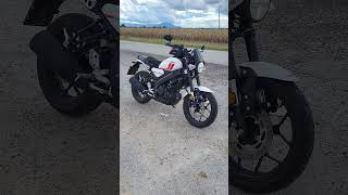 Yamaha XSR 125 idle sound [upl. by Ecydnak]