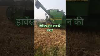 हार्वेस्टर द्वारा धान की कटाई automobile tracteur truckdriver farming truckdriverjobs sorts [upl. by Kauffman]